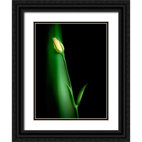 Soul Mates II Black Ornate Wood Framed Art Print with Double Matting by McNemar, C. Thomas