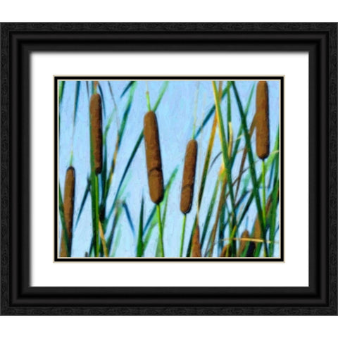 Cattailes Black Ornate Wood Framed Art Print with Double Matting by McNemar, C. Thomas