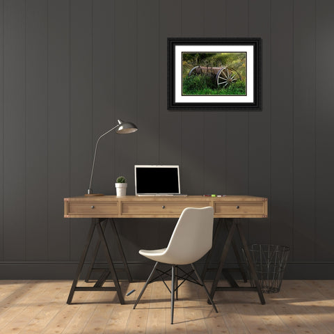 Abandoned Farm Equipment Black Ornate Wood Framed Art Print with Double Matting by McNemar, C. Thomas