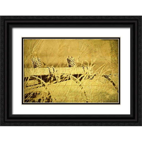 Farm Implement Black Ornate Wood Framed Art Print with Double Matting by McNemar, C. Thomas
