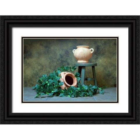 Pottery with Ivy I Black Ornate Wood Framed Art Print with Double Matting by McNemar, C. Thomas