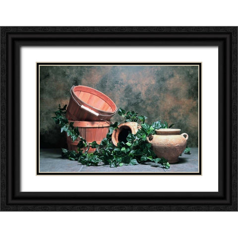 Pottery with Ivy II Black Ornate Wood Framed Art Print with Double Matting by McNemar, C. Thomas