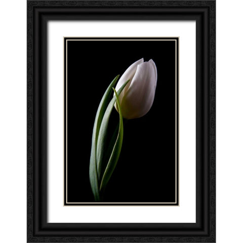 Tulips III Black Ornate Wood Framed Art Print with Double Matting by McNemar, C. Thomas
