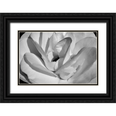 Macro Flower I Black Ornate Wood Framed Art Print with Double Matting by Moore, Brian