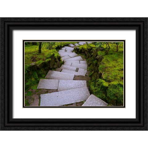 Steps I Black Ornate Wood Framed Art Print with Double Matting by Moore, Brian