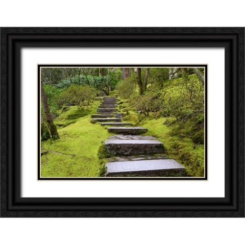 Steps II Black Ornate Wood Framed Art Print with Double Matting by Moore, Brian