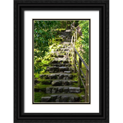 Steps III Black Ornate Wood Framed Art Print with Double Matting by Moore, Brian