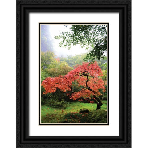 Japanese Gardens IV Black Ornate Wood Framed Art Print with Double Matting by Moore, Brian