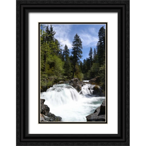 Rapids I Black Ornate Wood Framed Art Print with Double Matting by Moore, Brian