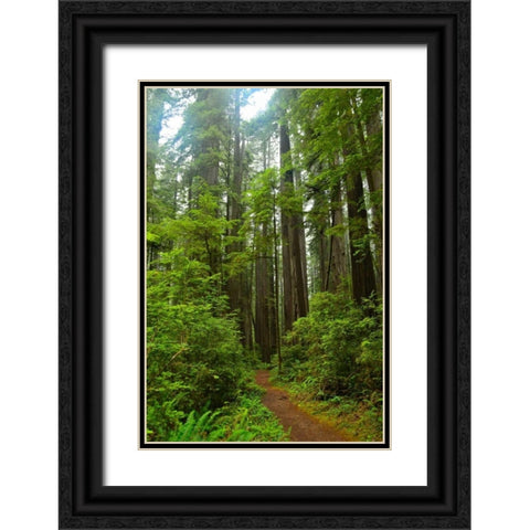 Hiking Trail II Black Ornate Wood Framed Art Print with Double Matting by Moore, Brian