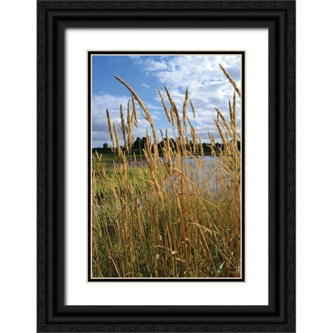 Through the Grass I Black Ornate Wood Framed Art Print with Double Matting by Moore, Brian