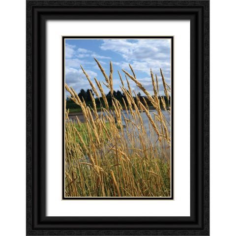 Through the Grass II Black Ornate Wood Framed Art Print with Double Matting by Moore, Brian