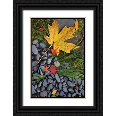Maple Leaves II Black Ornate Wood Framed Art Print with Double Matting by Moore, Brian