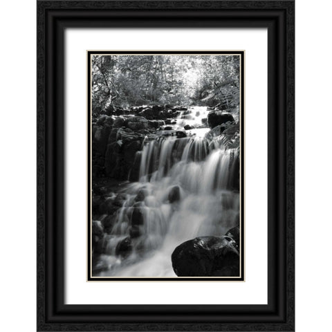 BW Falls in the Forest III Black Ornate Wood Framed Art Print with Double Matting by Moore, Brian