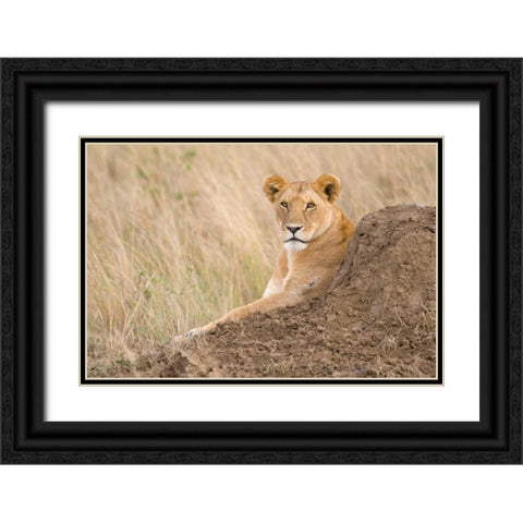 Vantage Point Black Ornate Wood Framed Art Print with Double Matting by Parker, Susann