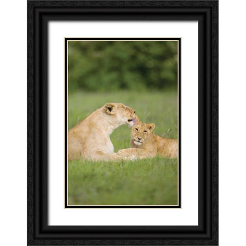 Time Out Black Ornate Wood Framed Art Print with Double Matting by Parker, Susann