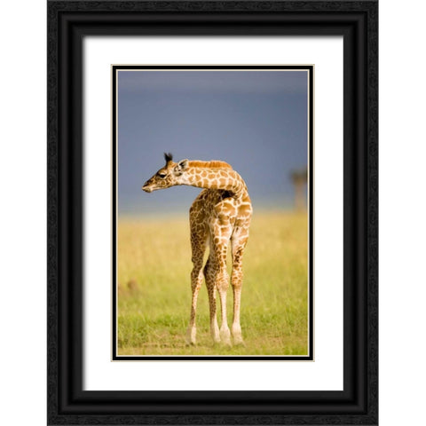 This Young One Black Ornate Wood Framed Art Print with Double Matting by Parker, Susann