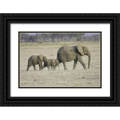 Memory Lane Black Ornate Wood Framed Art Print with Double Matting by Parker, Susann