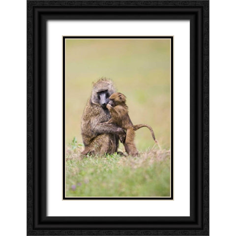 Papas Boy Black Ornate Wood Framed Art Print with Double Matting by Parker, Susann