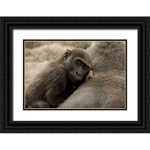 Security Black Ornate Wood Framed Art Print with Double Matting by Parker, Susann