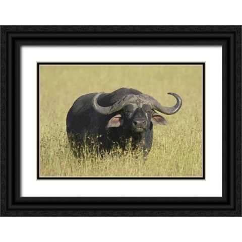The Fixed Stare Black Ornate Wood Framed Art Print with Double Matting by Parker, Susann