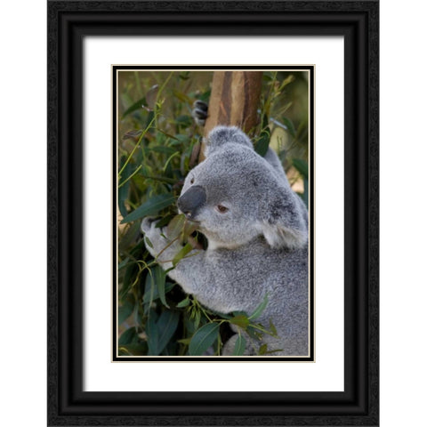 The Amiable Black Ornate Wood Framed Art Print with Double Matting by Parker, Susann