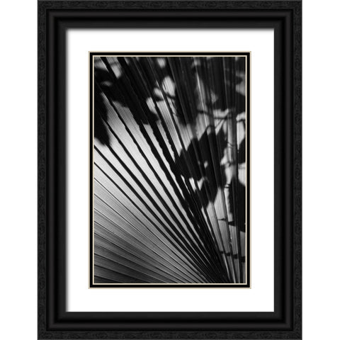 Shadow II Black Ornate Wood Framed Art Print with Double Matting by Peterson, Lee