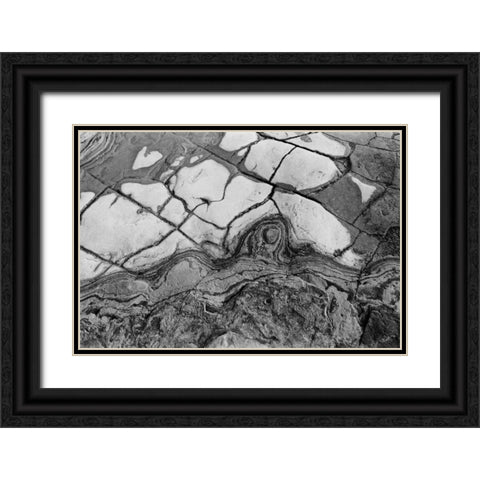 Texture I Black Ornate Wood Framed Art Print with Double Matting by Peterson, Lee