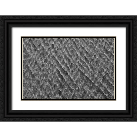 Texture III Black Ornate Wood Framed Art Print with Double Matting by Peterson, Lee