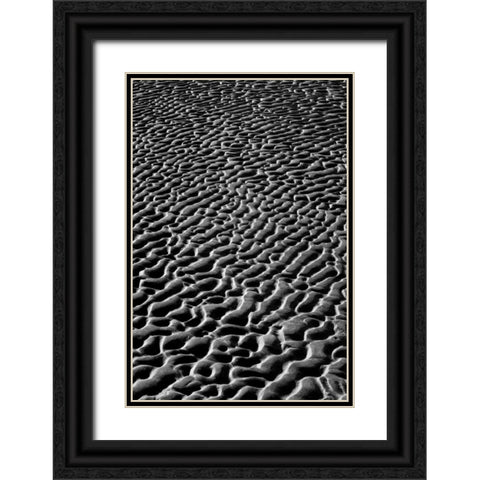 Texture Sand V Black Ornate Wood Framed Art Print with Double Matting by Peterson, Lee