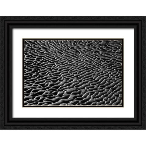 Texture Sand VI Black Ornate Wood Framed Art Print with Double Matting by Peterson, Lee