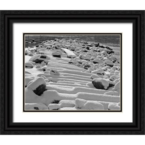 Tahoe Snow I Black Ornate Wood Framed Art Print with Double Matting by Peterson, Lee