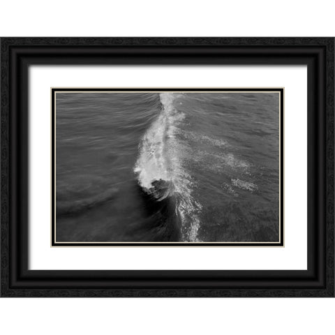 Wave I Black Ornate Wood Framed Art Print with Double Matting by Peterson, Lee