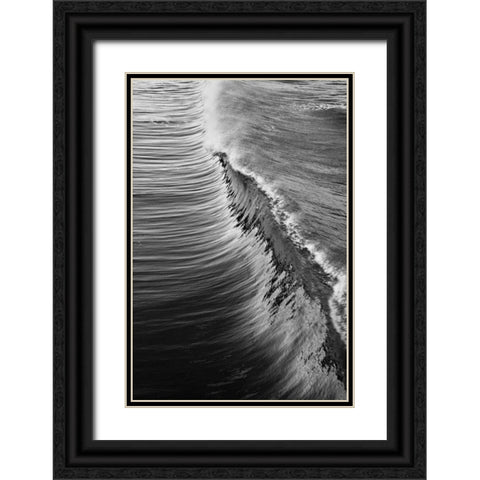 Wave IV Black Ornate Wood Framed Art Print with Double Matting by Peterson, Lee