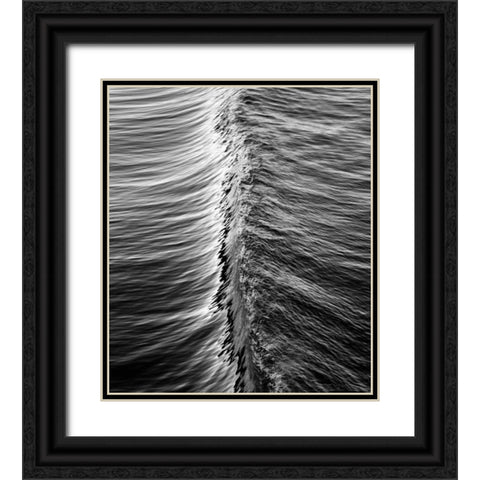 Wave V Black Ornate Wood Framed Art Print with Double Matting by Peterson, Lee