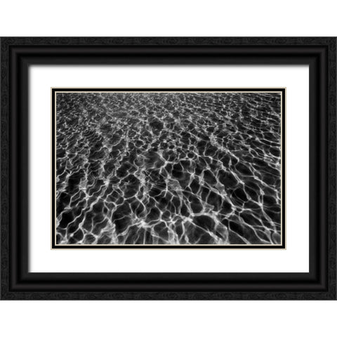 Underwater I Black Ornate Wood Framed Art Print with Double Matting by Peterson, Lee