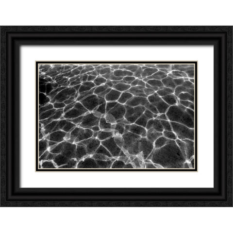 Underwater II Black Ornate Wood Framed Art Print with Double Matting by Peterson, Lee