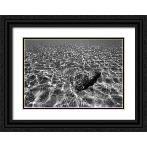 Underwater III Black Ornate Wood Framed Art Print with Double Matting by Peterson, Lee