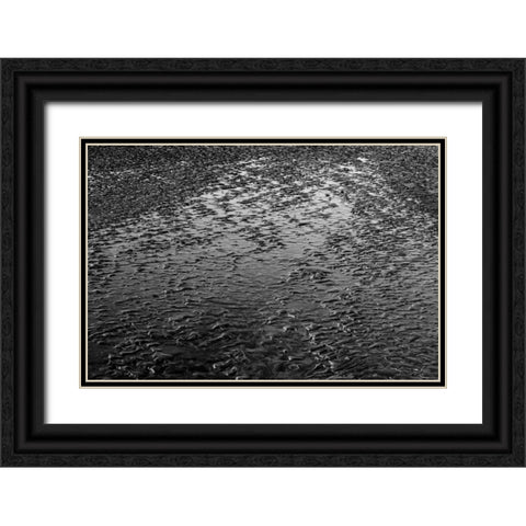 Beach Reflection I Black Ornate Wood Framed Art Print with Double Matting by Peterson, Lee