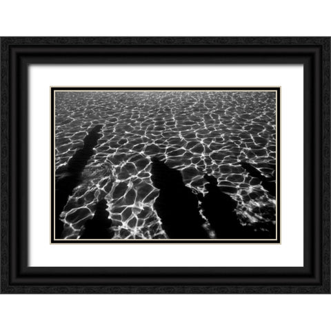 Wave Black Ornate Wood Framed Art Print with Double Matting by Peterson, Lee