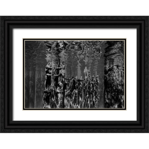 Pier Pilings II Black Ornate Wood Framed Art Print with Double Matting by Peterson, Lee