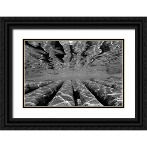 Pier Pilings III Black Ornate Wood Framed Art Print with Double Matting by Peterson, Lee