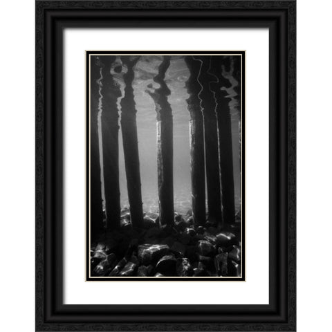 Pier Pilings V Black Ornate Wood Framed Art Print with Double Matting by Peterson, Lee