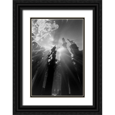 Pier Pilings VI Black Ornate Wood Framed Art Print with Double Matting by Peterson, Lee