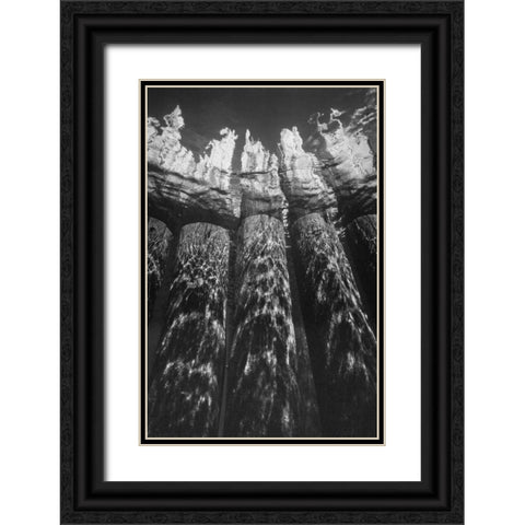 Pier Pilings VII Black Ornate Wood Framed Art Print with Double Matting by Peterson, Lee