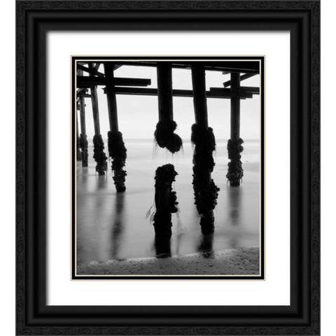 Pier Pilings X Black Ornate Wood Framed Art Print with Double Matting by Peterson, Lee