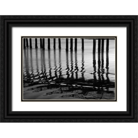 Pier Pilings XIV Black Ornate Wood Framed Art Print with Double Matting by Peterson, Lee