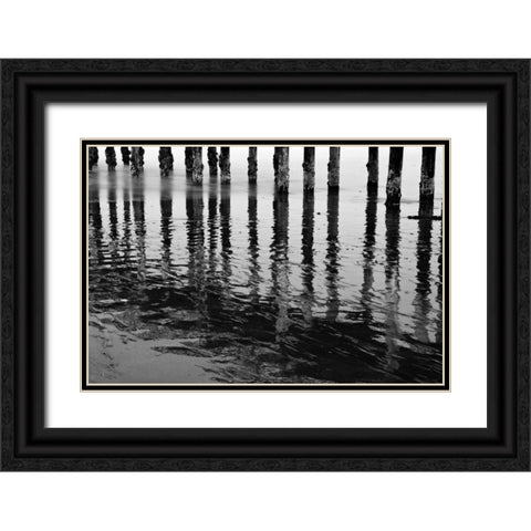 Pier Pilings XV Black Ornate Wood Framed Art Print with Double Matting by Peterson, Lee