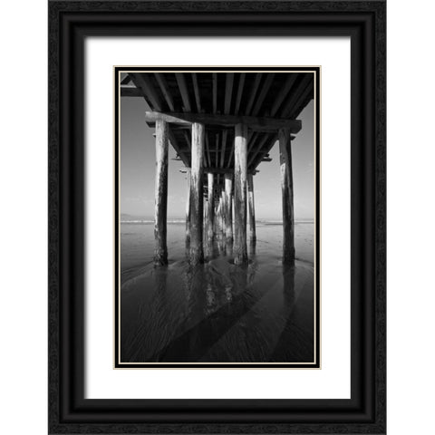 Pier Pilings XVI Black Ornate Wood Framed Art Print with Double Matting by Peterson, Lee