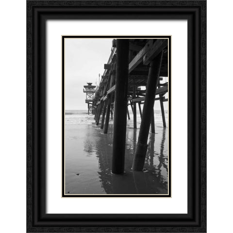 Pier Pilings XVII Black Ornate Wood Framed Art Print with Double Matting by Peterson, Lee